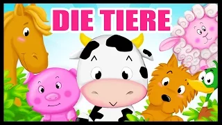 Die Tiere auf deutsch lernen - German Vocabulary - Titounis