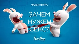 Зачем нужен секс?