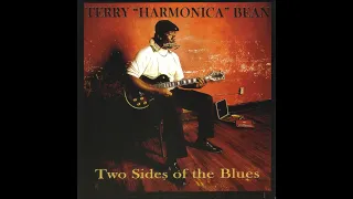 TERRY ''Harmonica'' BEAN (Pontotoc, Mississippi, U.S.A) - They Call Me Terry