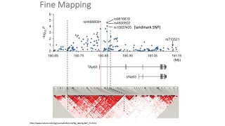 MCB 182 Lecture 12.9 - Fine-mapping causal variants based on GWAS associations