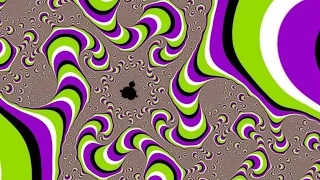 top 10 optical illusions
