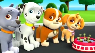 Щенячий Патруль Pacman Щенячий Патруль все серии подряд игр мультфильма PAW Patrol Children TV