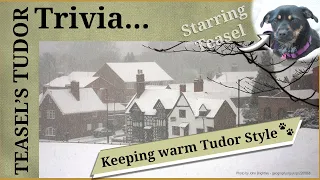 Teasel's Tudor Trivia - Keeping warm Tudor style