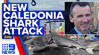 Aussie tourist killed in shark attack as large predator pulled from ocean | 9 News Australia