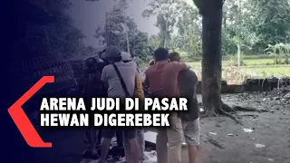 Polisi Gerebek Arena Judi di Pasar Hewan, 3 Bandar Ditangkap