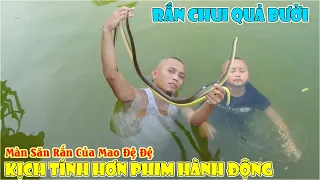 Rắn Chui Quả Bưởi Và Màn Săn Cặp Rắn Của Mao Đệ Đệ Kịch Tính Hơn Phim Hành Động