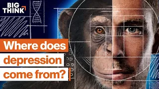 7 dimensions of depression, explained | Daniel Goleman, Pete Holmes & more | Big Think