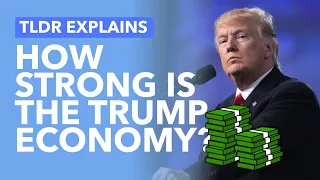 The US Economy: Is it as Strong as Trump Claims? - TLDR News