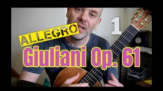 Giuliani Grand Overture Op.61 - Allegro 1