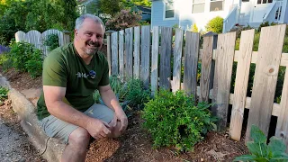 Busy Garden Time - New Magnolia and Cool Plants