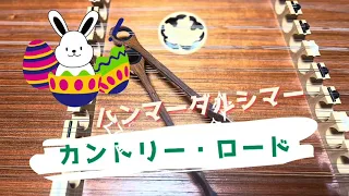 耳をすませば　カントリー•ロード　ハンマーダルシマー　hammereddulcimer