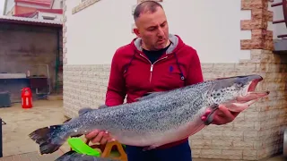 SALMON in a SMOKER. ENG SUB