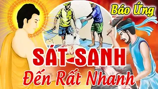 SÁT SANH HẠI MẠNG Báo Ứng Đến Rất Nhanh, 10 Chuyện Nhân Quả Phật Giáo Hay Nhất _ Kể Truyện Đêm Khuya