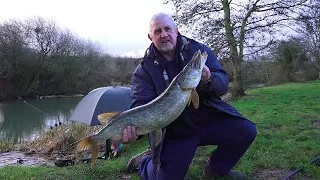 PIKE FISHING SELBY CANAL YORKSHIRE  - VIDEO 64