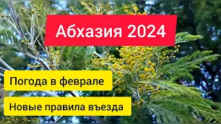 Лидзава. Обстановка в Пицунде. Новые правила въезда в Абхазию для детей  Погода в Абхазии в феврале