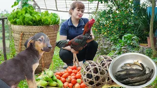 Harvesting Catfish, Chicken, Duck - Taken to Market for Sale - Buy More Dogs, Dried Fish Processing