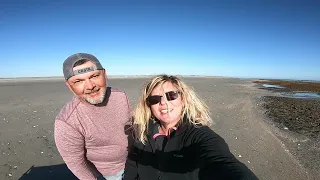 Looking for Beach Treasure on a Rapidly Eroding SC Barrier Island Beach #beach #erosion #shells