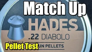 Pellet Test, JSB Hades, CPHP, Baracuda Hunter, Crow Magnum, NSA | Review | Orion the Iguana Hunter