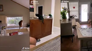 They say if you put tinfoil on the counter, your cat won't jump up | TikTok