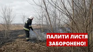 У Вінницькій міськраді знов нагадують громадянам про заборону палити опале листя