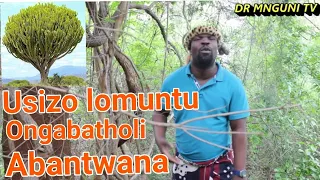 Ukungabatholi Abantwana | Umhlonhlo | Dr Mnguni