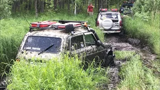 Лесная экспедиция. Клюквенные болота.