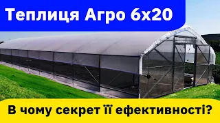 Фермерська теплиця АГРО 6х20. Дуже вдалий варіант для тепличного бізнесу.