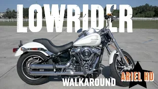 Used Motorcycle for Sale - Harley-Davidson 2018 Lowrider - stock #UHD188