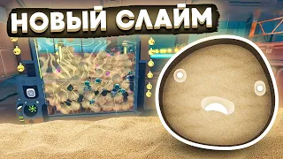 Slime Rancher. НОВЫЙ СЛАЙМ: РУИННЫЙ! +бассейн ЗЫБУЧИЕ ПЕСКИ