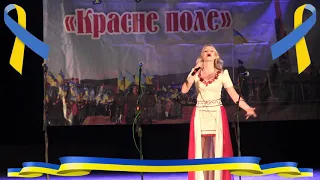 Маріанна Сухолова - Не заробляйте хлопці на війні