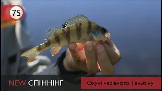 Рыбалка на Тельбине в Киеве [NEW Спиннинг №75]