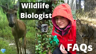 What is a Wildlife Biologist? Your FAQs answered.