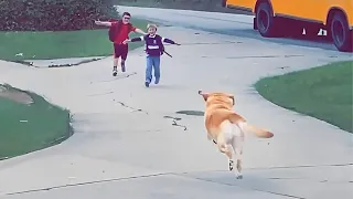 When A Dog's Love Is The Best Welcome Home