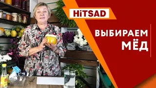 Настоящий мёд - как проверить МЕД при покупке ?  HiTSADTV