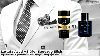Lattafa Asad VS Dior Sauvage Elixir: прямое сравнение двух пафрюмов