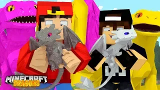 Minecraft DRAGONS - WE FOUND THE NIGHT FURY'S & A NEW BABY!!