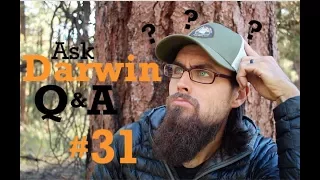 Ask Darwin Q&A #31 (Answers)