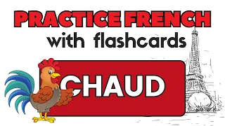 20 MUST-KNOW French Adjectives | French Flashcards for Beginners
