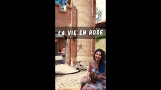 La vie en rose (Édith Piaf) cover em português e inglês (por Bella Mitozzo)