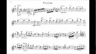 Lalo, Edouard Symphonie Espagnole mvt2+3
