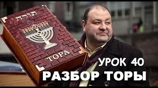 РАЗБОР ТОРЫ. УРОК 40. РЭЭ