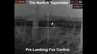 Pre-lambing fox control with the HikMicro TQ50 and .223 Tikka T3X Lite.