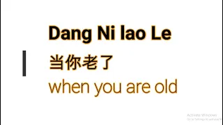 Dang Ni lao Le 当你老了 - when you are old lyric歌词 pinyin 拼音