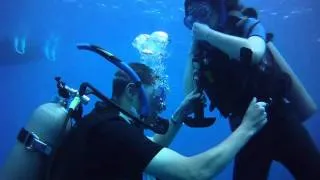 Diving in Molokini Maui with the new underwater casing for the VHolDR Contour HD camera