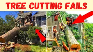 Tree Cutting Fails Close Calls And Near Misses