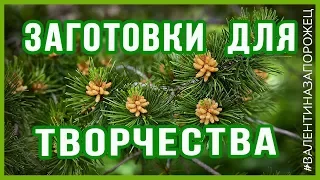 Заготовки для творчества Зимние фоны HD Proshow Producer