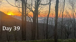 2024 Appalachian Trail Thru Hike Day 39: Little Bald Mt. to Temple Gap