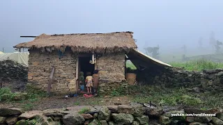 Awesome Daily activities in a remote Himalayan Nepali village ||Best Nepali Village Life In The Rain