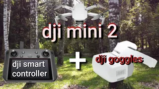 DJi mini 2 с VR очками