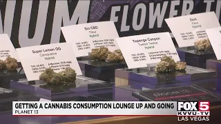 Prep underway to bring more cannabis lounges to Nevada